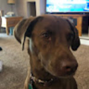 Meet your Posher, Jackson